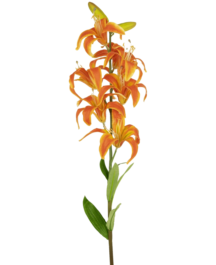 De Kunstbloem Martagon Lelie 78 cm oranje heeft een enkele steel met meerdere levendige oranje leliebloemen en groene bladeren, tegen een effen witte achtergrond.