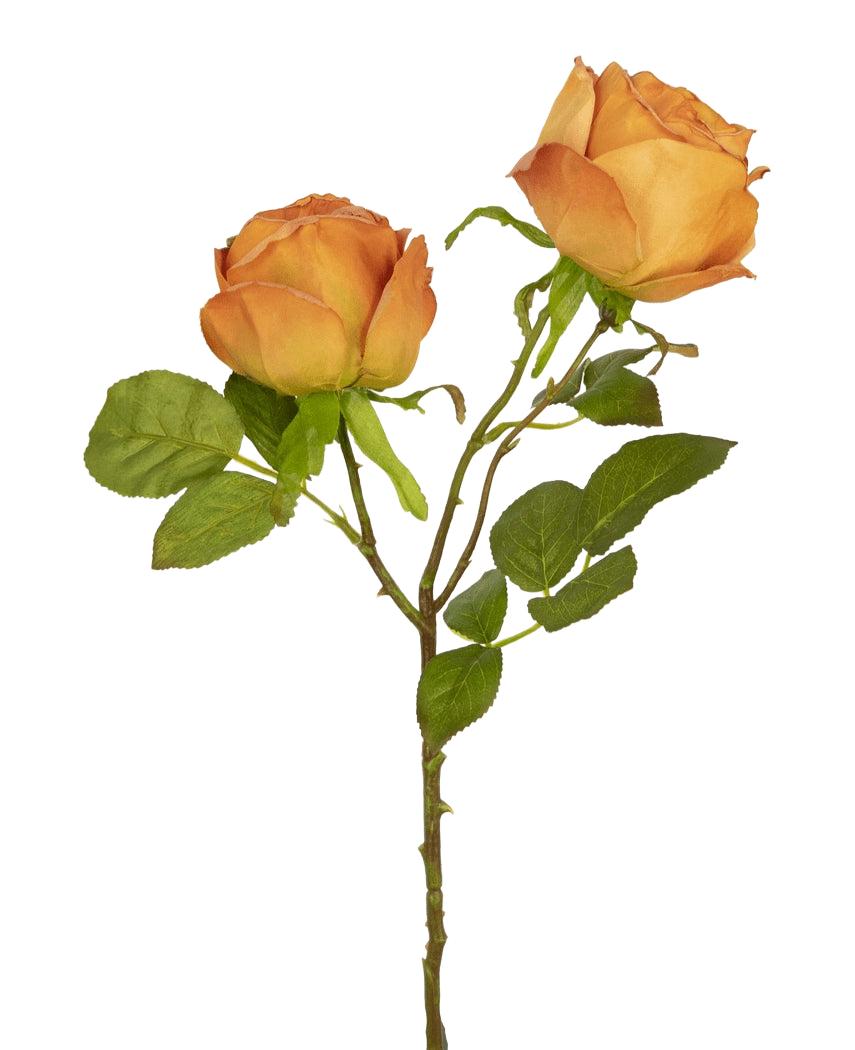 De Kunstroos Deluxe 55 cm perzik heeft twee perzikkleurige kunstrozen op één steel met groene bladeren, ideaal voor bloemdecoratie of als elegante zijde kunstbloemen.