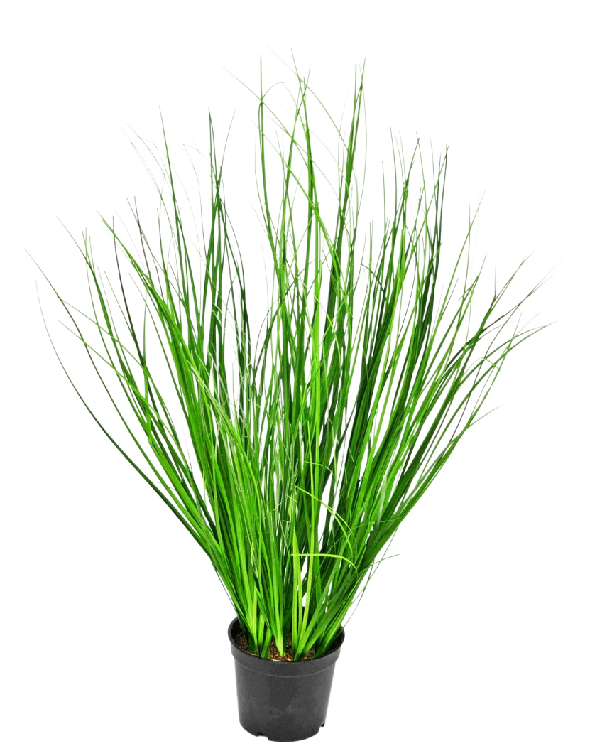 De Kunst Grasplant Ui 58 cm brandvertragend is een hoog decoratief gras met slanke groene sprieten in een zwarte kunststof pot, afgebeeld tegen een effen witte achtergrond.