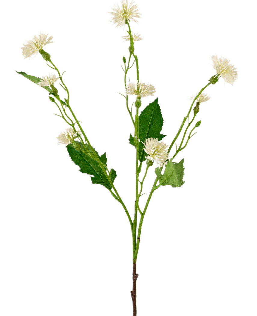 De Kunstbloem Daisy Spray 54 cm witstraal heeft een enkele groene steel met vertakte trossen kleine, witte margrietachtige bloemen en grillige groene bladeren, tegen een effen witte achtergrond.