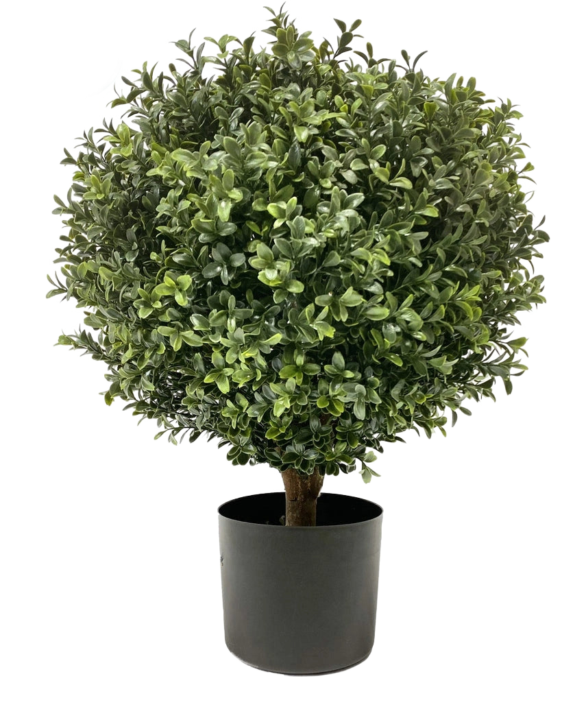 De Kunst Buxus op stam UV 40 cm is een ronde, bossige groene vorm met dichte bladeren in een eenvoudige zwarte pot, tegen een effen witte achtergrond.
