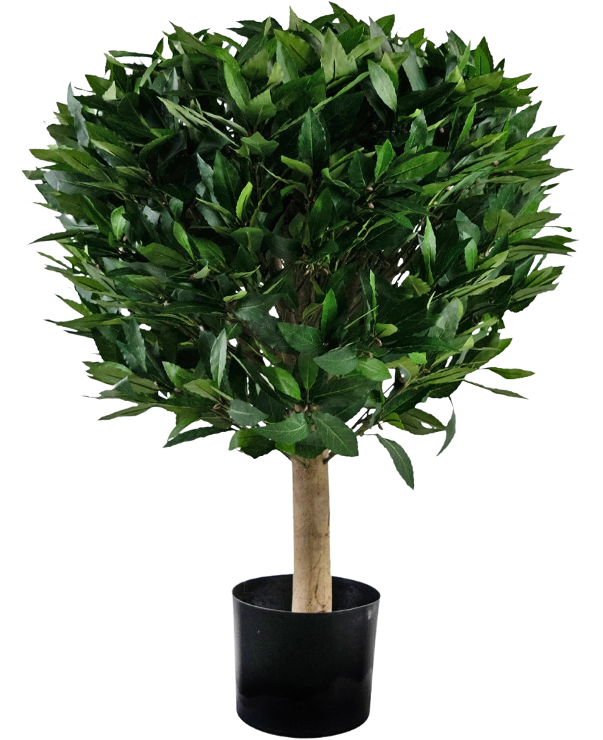 De Kunstplant Laurier UV d55 cm heeft een rechte stam en een dichte, ronde tros glanzend groene bladeren, gepresenteerd in een zwarte bak tegen een witte achtergrond.