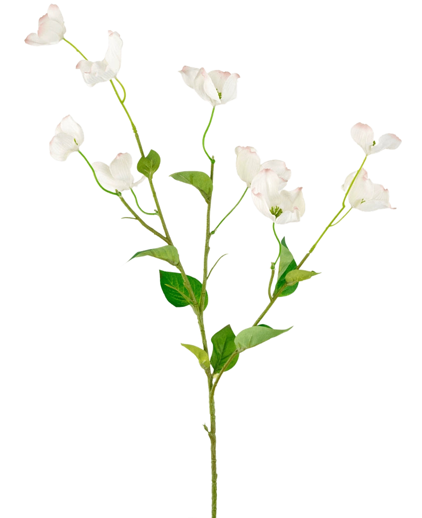 Het Kunstkornoelje Real Touch Wit 74cm heeft een enkele hoge steel met meerdere takken van delicate witte bloemen en groene bladeren, tegen een effen lichte achtergrond.