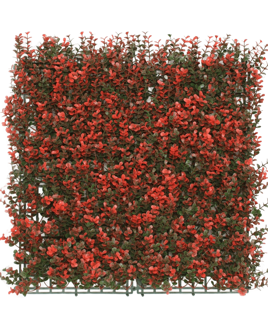 De Kunsthaag Buxus rood 50x50 cm UV is een vierkant kunstgroen paneel met dichte kleine groene bladeren en rode bloemtrossen, ideaal voor decoratie of privacy.
