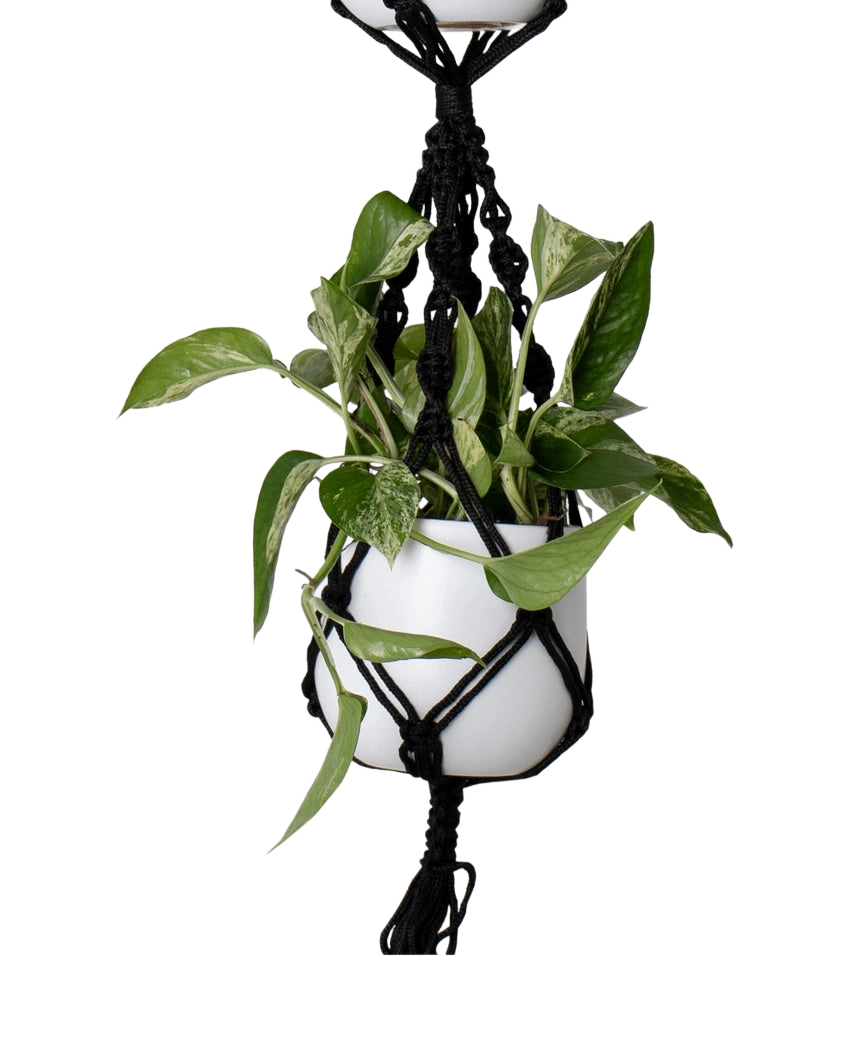 Hangtouw Macrame Double Spiral Knot Zwart Ø13 x H120 cm