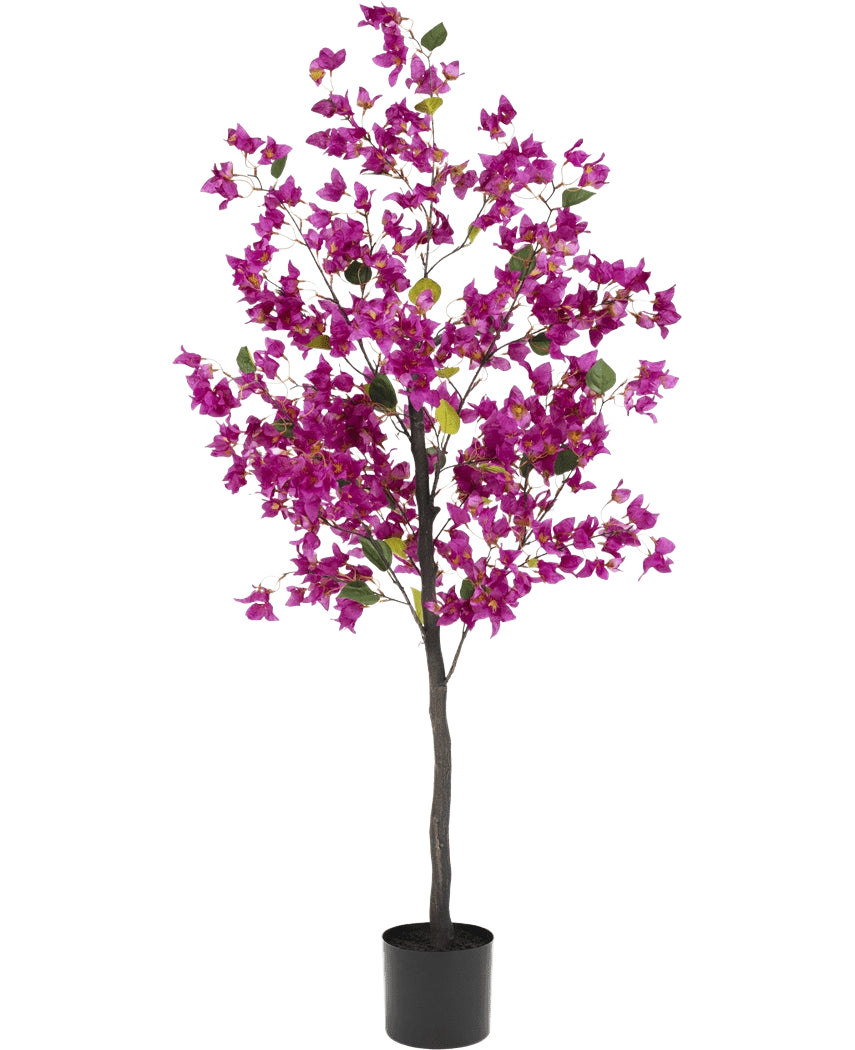 De Kunstplant Bougainvillea 150 cm Paars heeft een hoge, slanke stam met levendige paarse bloemen en groene bladeren, in een eenvoudige zwarte pot tegen een witte achtergrond.