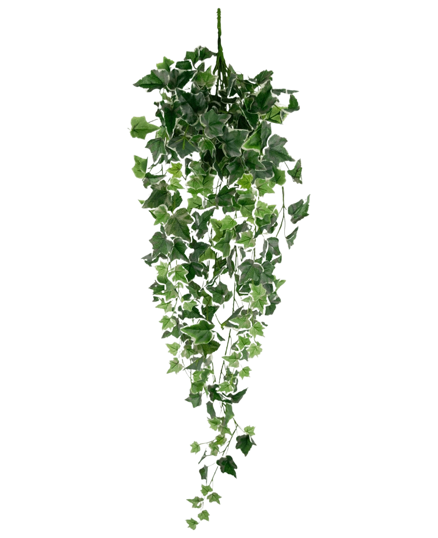 De Kunst Klimop 70 cm groen/wit is een hangende kunstklimopplant met weelderige groene en witte trapsgewijze bladeren aan lange stelen, tegen een effen witte achtergrond.