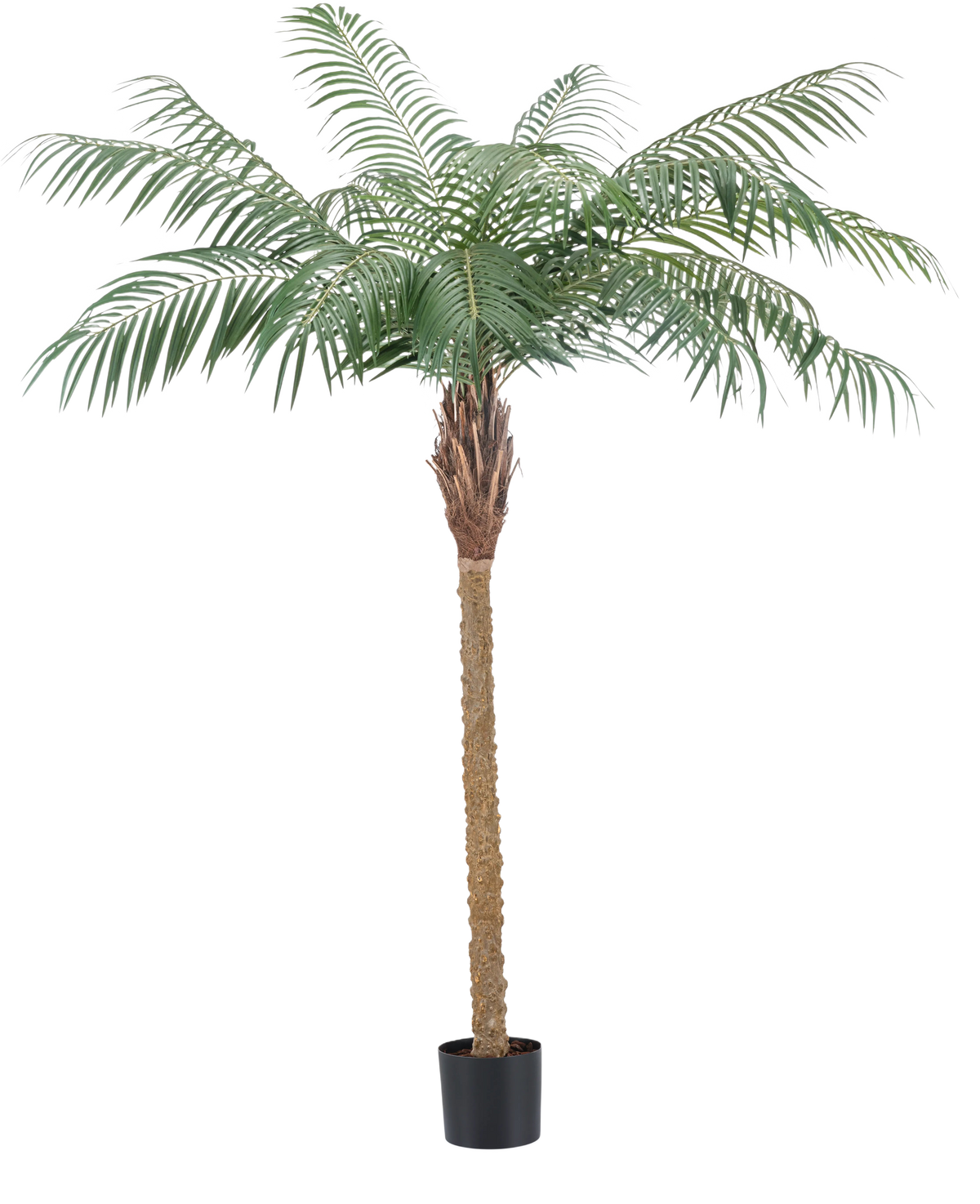 De Kunstplant Phoenix Palm De Luxe 180 cm heeft vederlichte groene bladeren en een bruine stam met textuur in een kleine zwarte pot en brengt een tropische sfeer in elke ruimte.