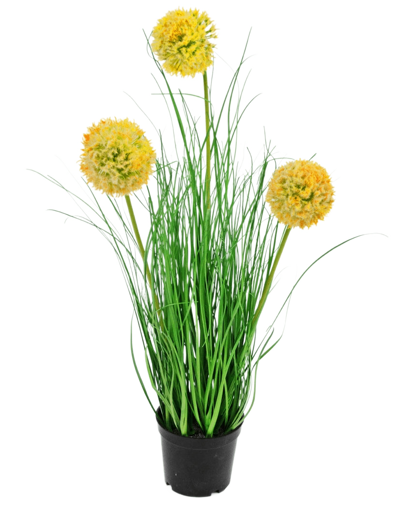 De Kunst Grasplant Ui 50 cm brandvertragend heeft lange, dunne groene bladeren en drie ronde gele pluizige bloemen op hoge stelen, die groene tuin charme toevoegen tegen een effen witte achtergrond.