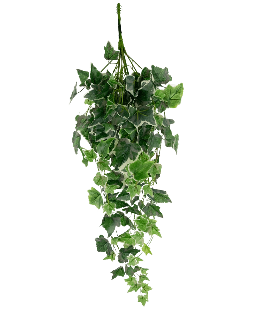 De Kunst Klimop 70 cm groen/wit heeft kunstmatige klimopbladeren in groen met witte randen, gerangschikt in een cascadevorm en weergegeven tegen een effen witte achtergrond.