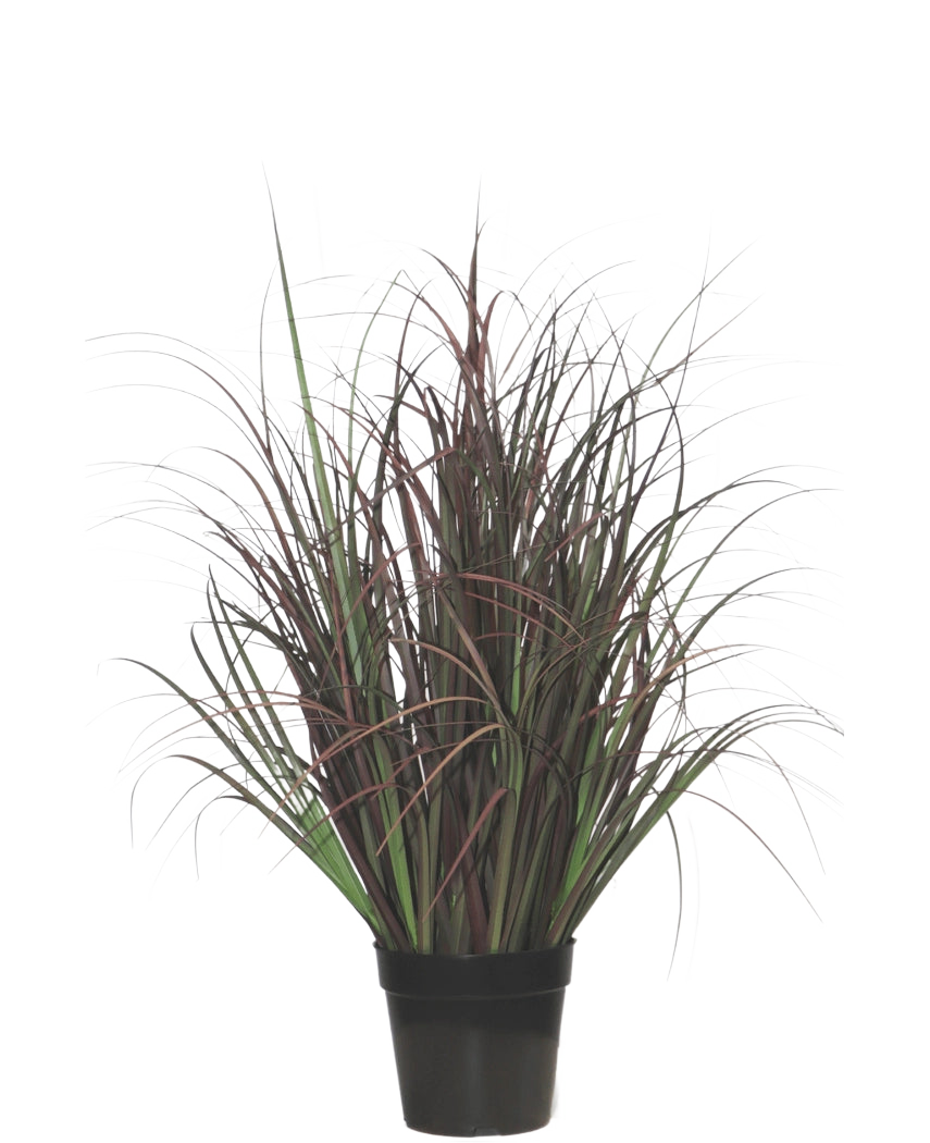 De Kunst Grasplant Wild Lawn 70 cm, brandvertragend, heeft donkergroene en roodpaarse smalle bladeren in een zwarte pot - perfect als onderhoudsvrije plant voor elk interieur.