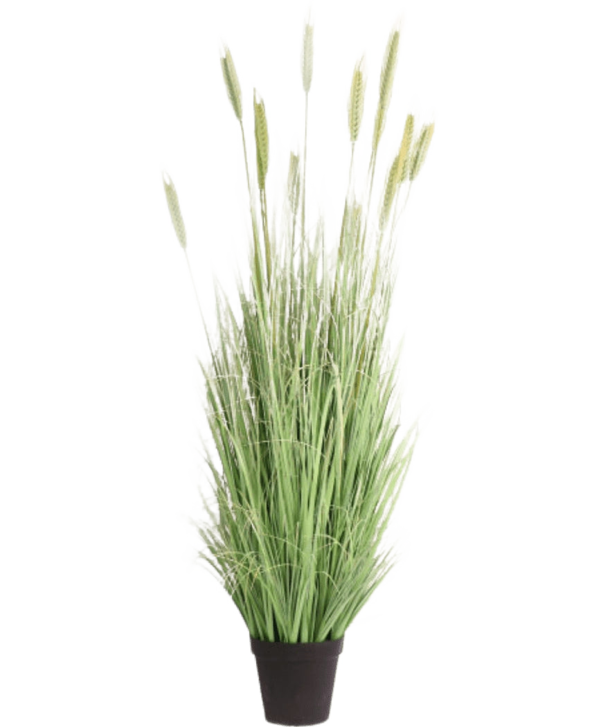 De Kunst Grasplant Groen 180 cm brandvertragend heeft lange, slanke groene sprieten en tarwe-achtige aren in een zwarte pot-ideaal voor stijlvolle interieur decoratie en extra veiligheid.
