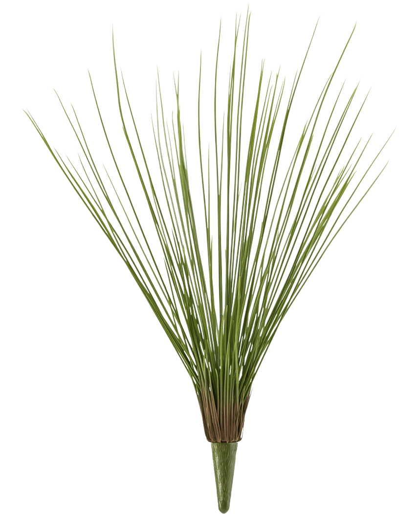 De Kunstgrasplant Royaal Gras UV 60 cm heeft hoge, dunne, groene kunstgrasstengels die aan de basis gebundeld zijn en naar buiten uitwaaieren, tegen een effen witte achtergrond.