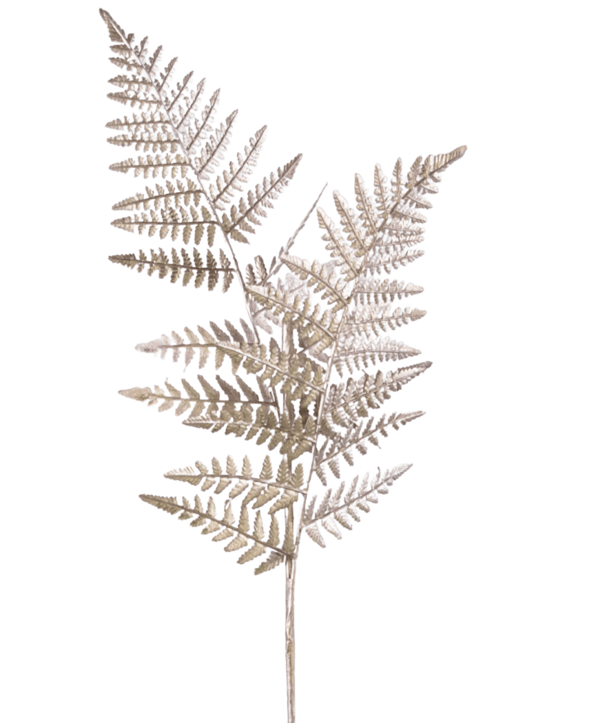 Een enkele Kunsttak Asparagus 125 cm zilver, met lichtbruine gedroogde varenachtige stengels met fijne, vederlichte blaadjes, tegen een effen witte achtergrond.