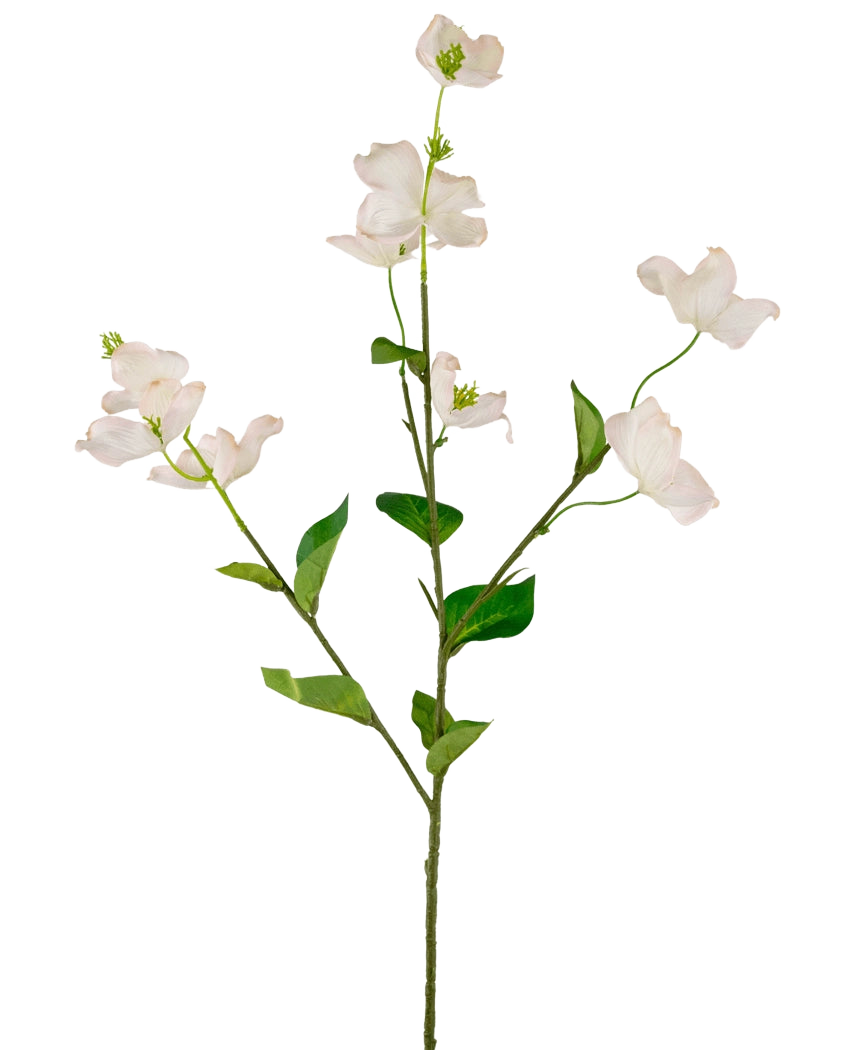 Een enkele Kunst kornoelje Real Touch Wit/roze 74cm heeft lichtroze-witte kunstbloemen van kornoelje en groene bladeren op een lange, slanke steel, tegen een witte achtergrond.