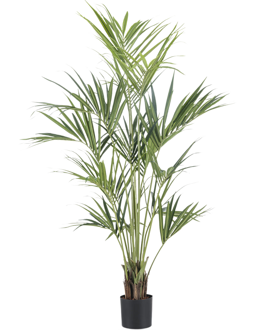 De Kunstplant Kentia Palm 190 cm brandvertragend heeft lange, slanke groene bladeren en meerdere dunne stelen in een eenvoudige zwarte pot, tegen een effen witte achtergrond.
