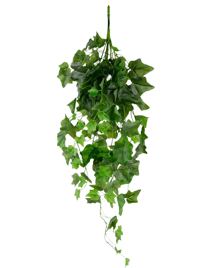 De Kunst Klimop 70 cm groen is een hangende kunstklimop met hangende groene bladeren en meerdere ranken tegen een effen witte achtergrond.