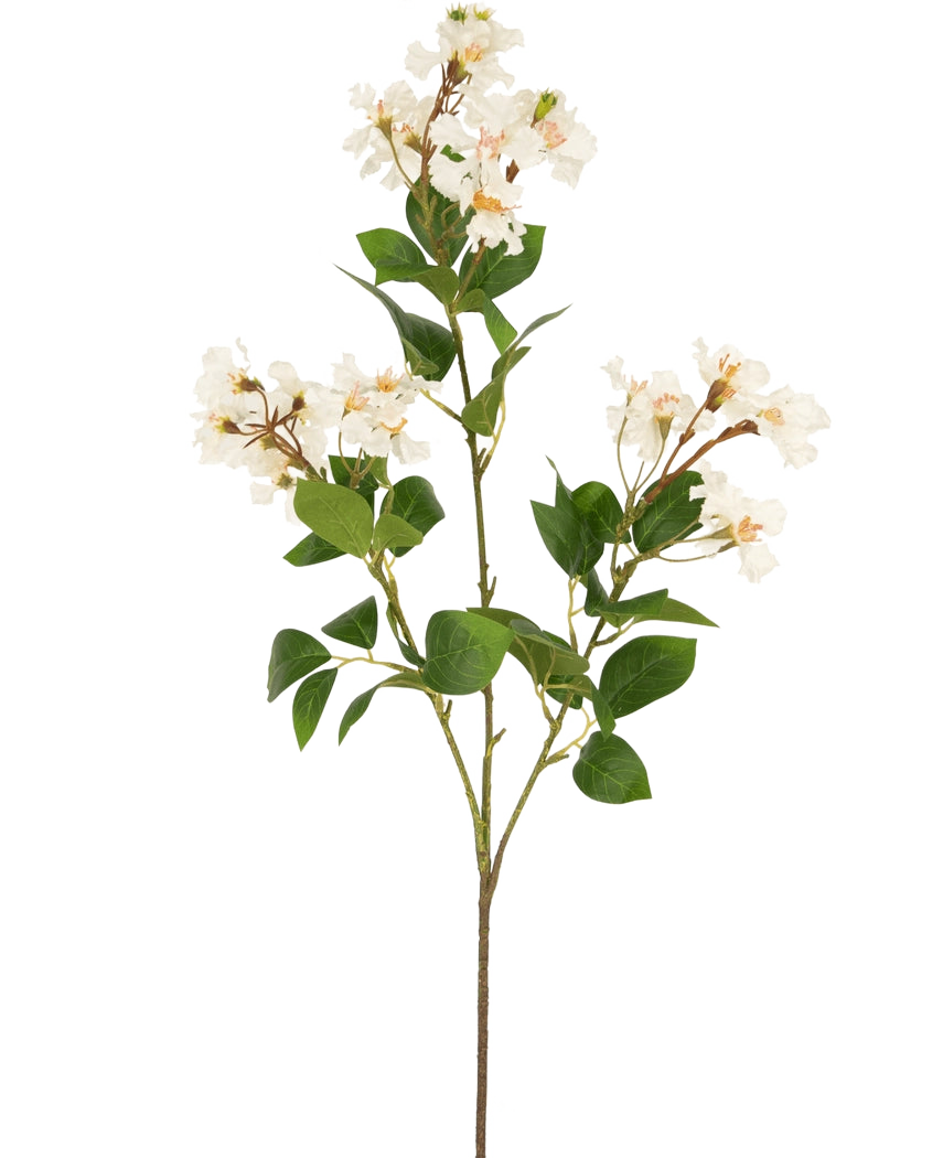 De Kunstbloem Lagerstroemia 92 cm wit heeft een hoge stengel met trossen kleine witte bloemen en groene bladeren, perfect om blijvende schoonheid toe te voegen aan elke ruimte. Ideaal als opvallende kunstplant tegen een effen witte achtergrond.