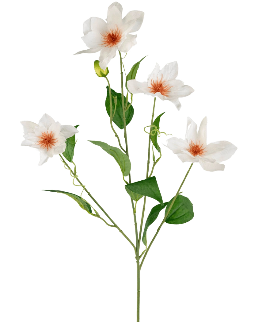 De Kunstclematis Real Touch Wit 88cm heeft een steel met vier witte bloemen met oranje hart en verschillende groene bladeren aan slanke takken, tegen een effen witte achtergrond.