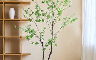 De Enkianthus Kunstplant als Must-Have Interieuraccessoire