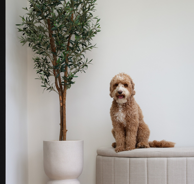 Kunstplanten en dieren.