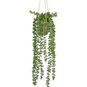 Kunst Hangplanten