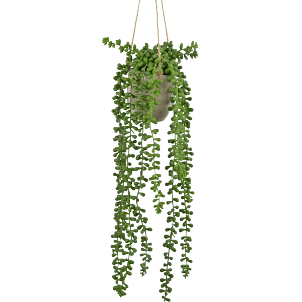 Kunst hangplanten in pot