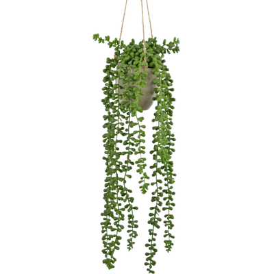 Kunst Hangplanten In Pot