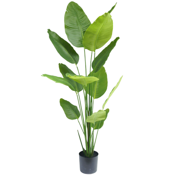 Kunstplanten