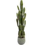 Kunst Cactus