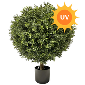 Kunstplant Buxus UV