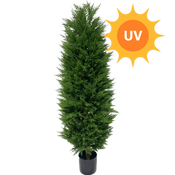 Kunstplant Conifeer UV