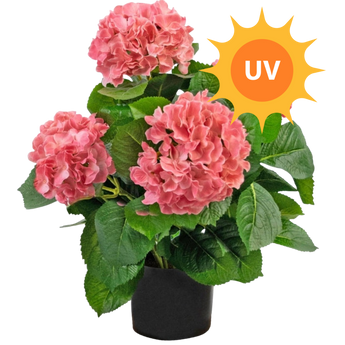 Kunstmatige hortensia in pot met roze bloemen en groene bladeren. In de rechterbovenhoek staat een feloranje zon met UV erin geschreven.