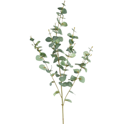 Kunst Eucalyptus