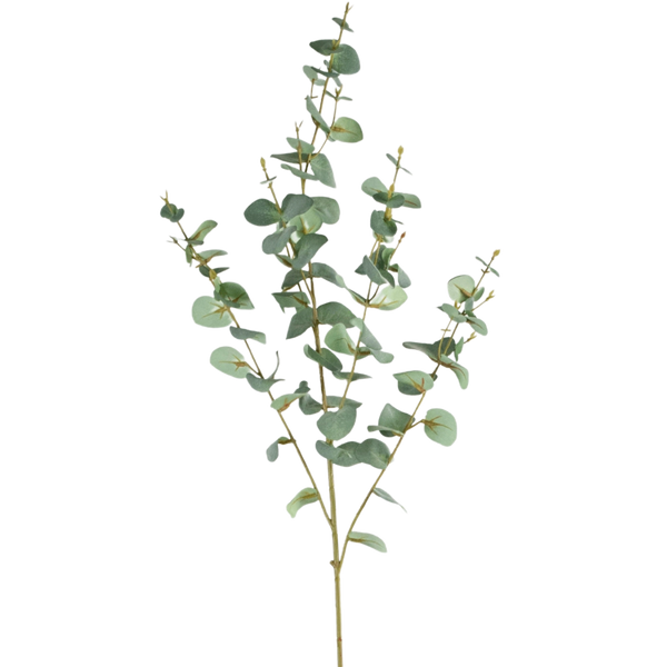 Kunst Eucalyptus