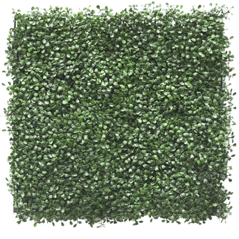 Een vierkant paneel dat dicht bedekt is met kleine, glanzend groene bladeren, waardoor een weelderige, kunstmatige haag of verticale tuin ontstaat.