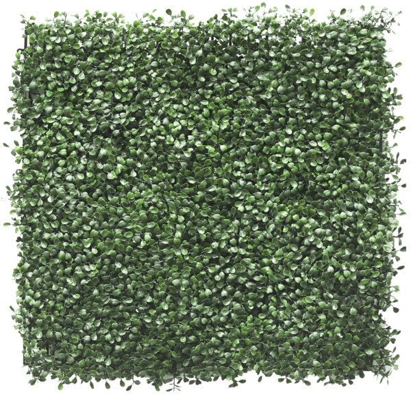 Kunsthaag Buxus