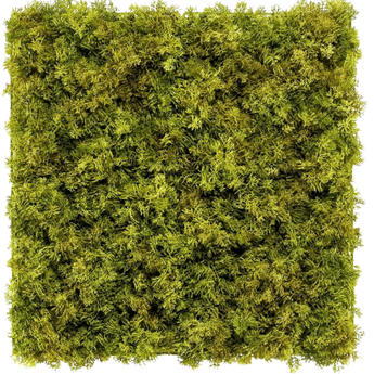 Een vierkant paneel dat dicht begroeid is met levendig groen mos, waardoor een weelderig oppervlak met textuur ontstaat. Het mos ziet er natuurlijk en licht oneffen uit, wat het paneel een levendige, organische uitstraling geeft.