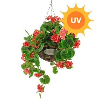 Een hangende mand met levendige groene bladeren en rode bloemen, naast een oranje zonne-icoon met het label UV, wat aangeeft dat de plant UV-bestendig is.