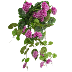 Kunst Hangbloemen