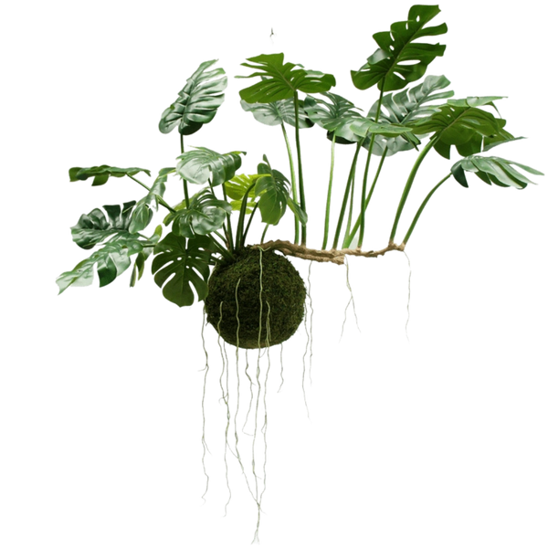 Grote Hangplanten