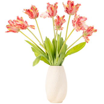 Een vaas met witte textuur bevat verschillende roze en gele papegaaitulpen met gefranjerde bloemblaadjes en groene bladeren, tegen een effen witte achtergrond.