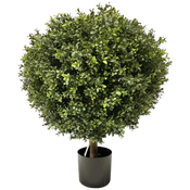 Kunst Buxus & Conifeer
