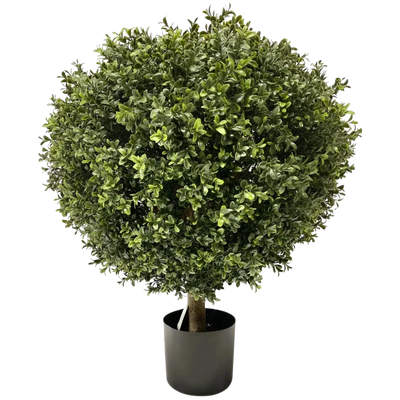 Kunst Buxus & Conifeer