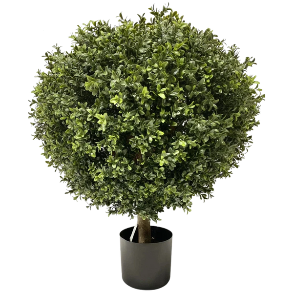 Kunst Buxus & Conifeer