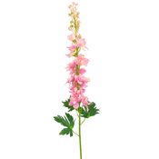 Kunst Delphinium
