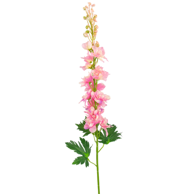 Kunst Delphinium