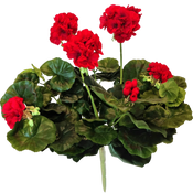 Kunst Geranium