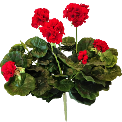 Kunst Geranium