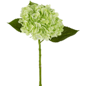 Kunst Hortensia
